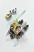 Food art: oysters with black caviar, red onions and beansprouts on a page of watercolour