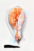 Food art: salmon steak (abstract)