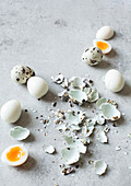 Boiled quails eggs with shells