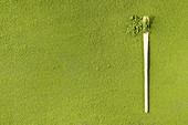 Green tea matcha powder in traditional bamboo spoon over powdering matcha as background