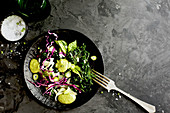 Kale Fennel Salad with Lemon Basil Pesto Vinaigrette