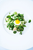 Green asparagus rolls with quail's eggs and marinated watercress