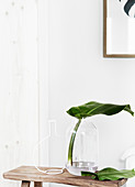 Purist arrangement of leaf in glass vase