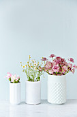 Drei weiße Vasen mit Nelken, Kamille und Sterndolden