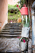 Planted metal watering cans in Mediterranean alley