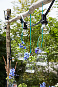Kreative Gartenbeleuchtung mit hängenden Blumenvasen und Lichterkette