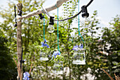 Hängende Glasvasen mit blauen Blumen an Ast im Garten