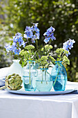 Blauer Rittersporn in Glasvasen auf Gartentisch