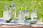 Homemade limeade with mint in screw-top jars with straws and in carafe