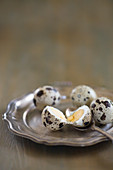 Boiled quail eggs and spoon on silver tray