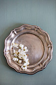 White flowers on old silver plate