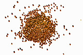 Ein Häufchen roter Quinoa auf weißem Untergrund