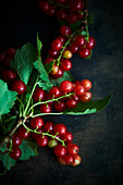 A sprig of redcurrants