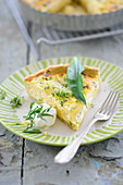 Spring tart with herbs