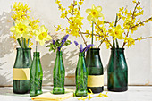 Forsythien, Narzissen und Hyazinthen in grünen Flaschen als Frühlingsdeko