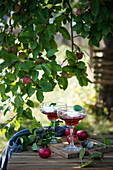 Apfel-Kirsch-Götterspeise mit weißer Reismilchschokoladen-Sahne unter einem Apfelbaum (Vegan)
