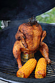 Grilled beer can chicken with corn cobs on a barbecue