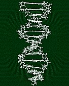 DNA storage, conceptual image