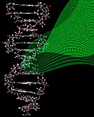 DNA storage, conceptual image