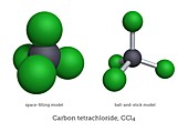 Molecular models of carbon tetrachloride
