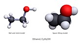 Ethanol, molecular models