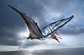 Pterosaur flying reptile, illustration