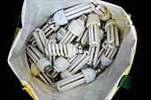 Fluorescent lamp recycling