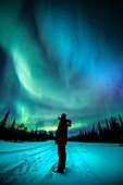 Aurora watching in the Arctic