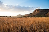 Grasslands and mountains at sunset