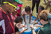 Metro Detroit Youth Day, USA