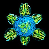 Nanoparticle flu vaccine prototype, illustration