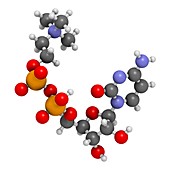 Citicoline molecule