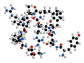 Dynorphin opioid peptide molecule