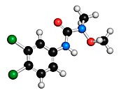 Linuron herbicide molecule
