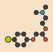Meclofenoxate nootropic molecule