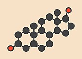 Prasterone steroid molecule