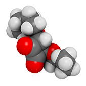 Squaric acid dibutyl ester drug molecule