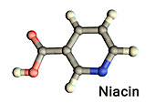 Vitamin B3 nicotinic acid molecule