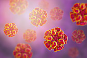 Hepatitis E virus particle, illustration