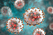 Lassa virus particles, illustration