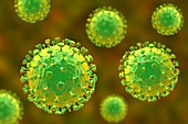 Nipah virus particles, illustration