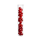 Redcurrants in test tube