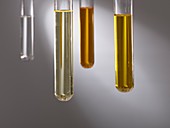 Cooking oils in test tubes