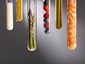 Food groups in test tubes