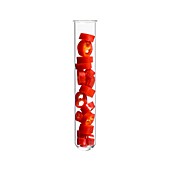 Red chilli pepper in test tube