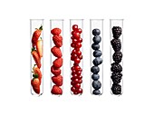 Berries in test tubes