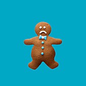 Obese gingerbread man