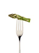 Asparagus on a fork