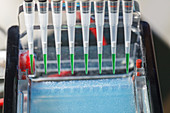 Pipetting samples for gel electrophoresis