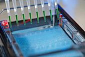 Pipetting samples for gel electrophoresis